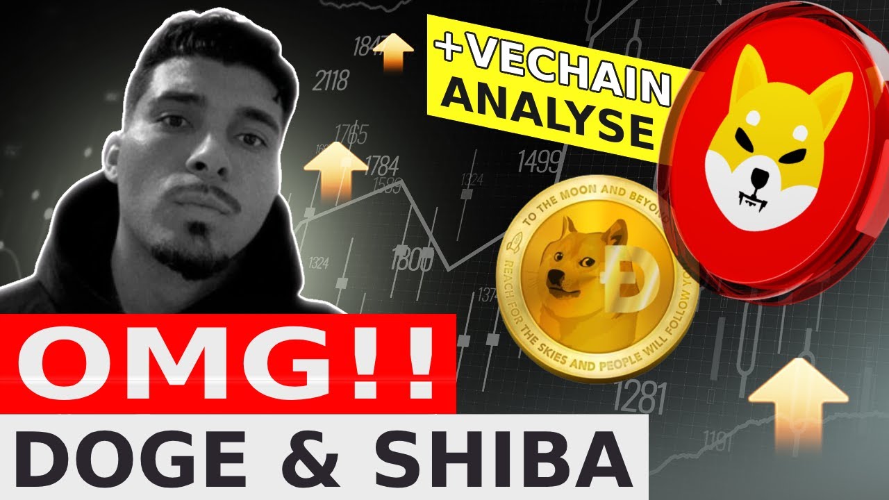 DOGECOIN & SHIBA INU: OMG!! 🚨 (Vechain $VET Analysis) DOGE Price Forecast German