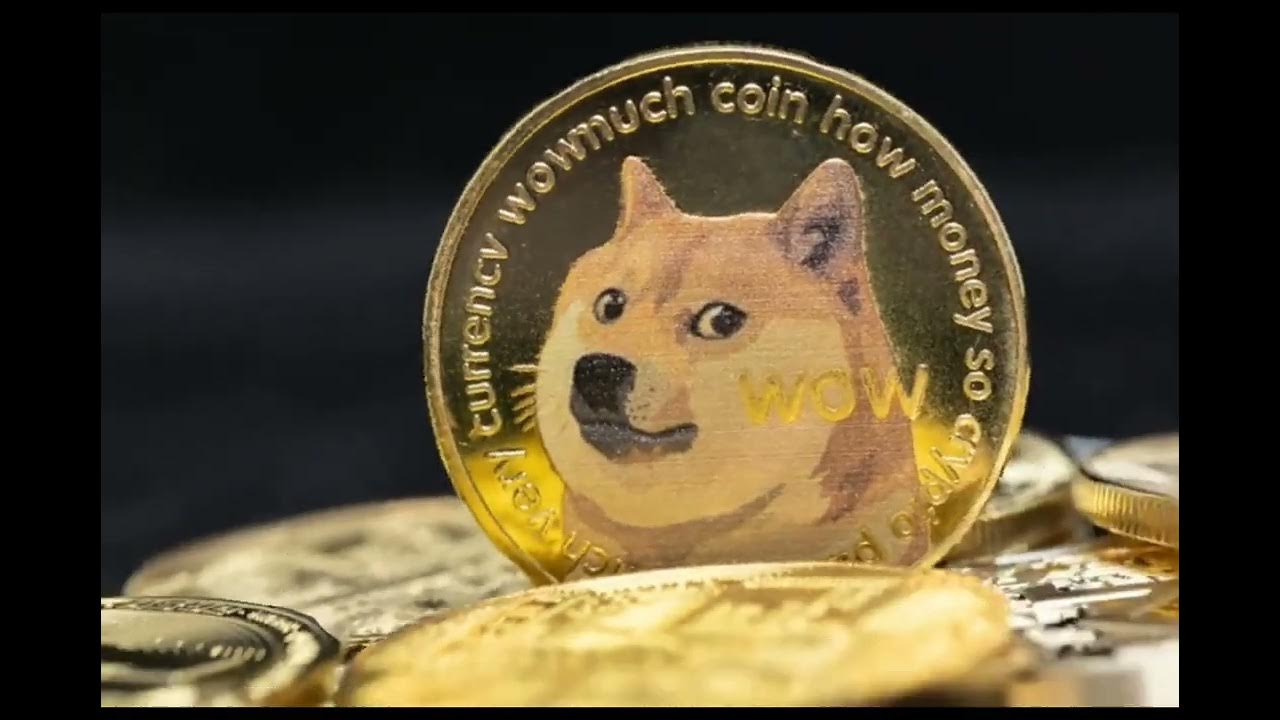 doge coin are the money in the world#dogecoin