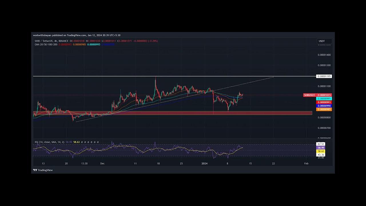 Dogecoin And Shiba Inu Hold Near Crucial Resistance Levels Amid Increased Accumulation