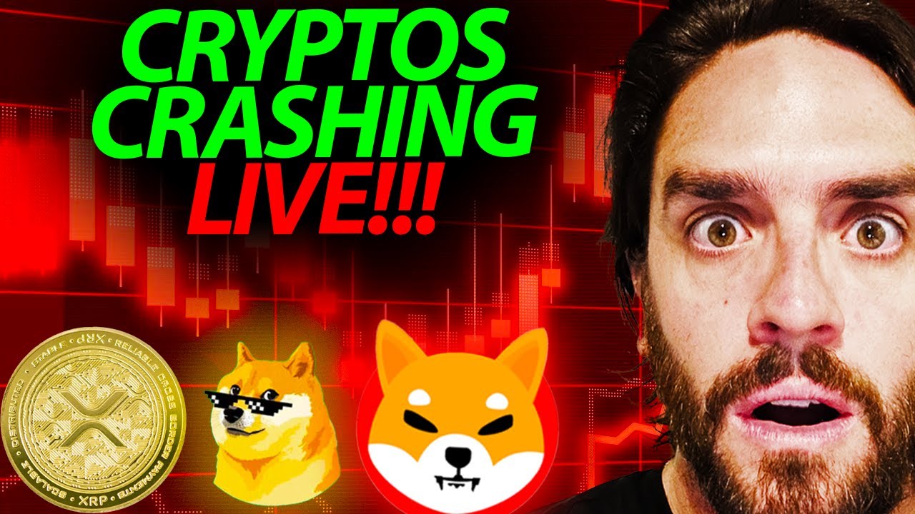 CRYPTOS CRASHING LIVE!!!! #DOGECOIN #SHIBAINU #CRYPTO