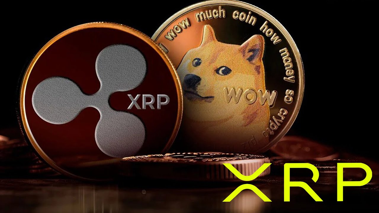 XRP RIPPLE CEO SELL YOUR DOGE COINS !!!!!!