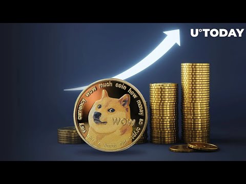 Will Dogecoin bounce back in 2024? Hidden on-chain data reveals secrets