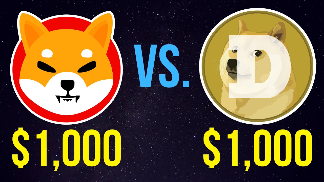 $1,000 Shiba Inu vs. $1,000 Dogecoin – Who Wins? | SHIB or DOGE?