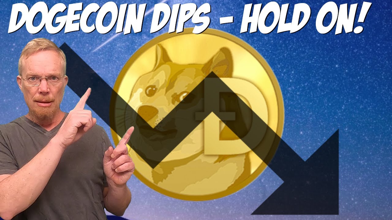 Dogecoin Dips - Hold On!