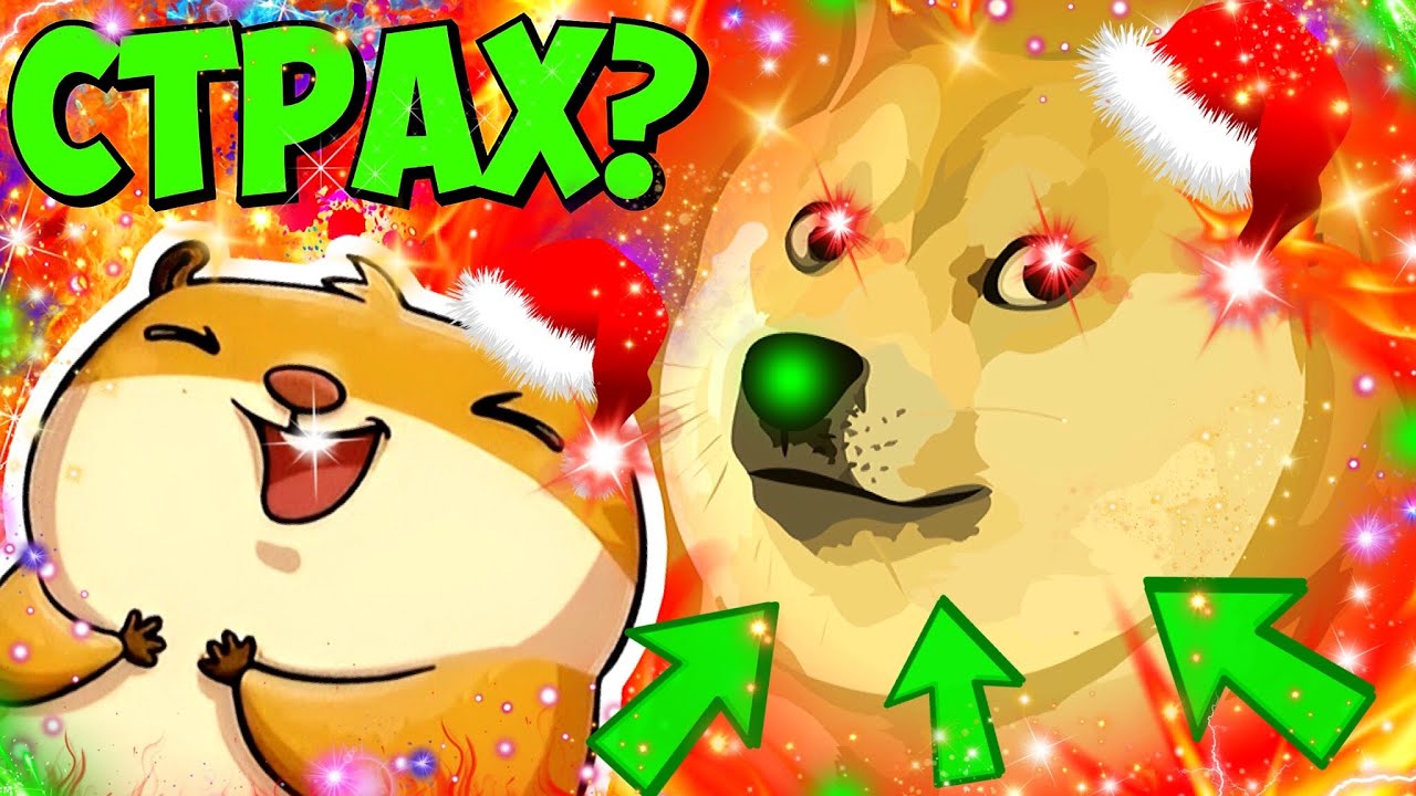 DOGECOIN IS MORE THAN JUST A COIN! WHY CAN DOGI REACH $100 THIS CYCLE? ARE HAMSTERS AFRAID?