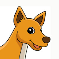 Crypto Dingo