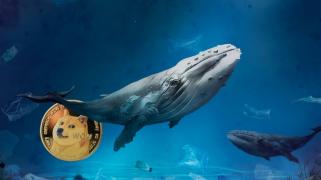 Las ballenas Dogecoin siguen teniendo curiosidad a pesar de que Dogecoin salió del top 10