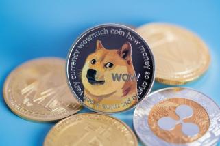 Warum jeder den Pushd (PUSHD)-Vorverkauf kauft und warum Dogecoin (DOGE)-Investoren das 30-fache für möglich halten