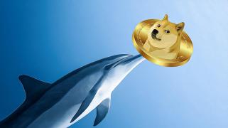 El precio de Dogecoin aumenta a medida que los principales inversores hacen grandes movimientos