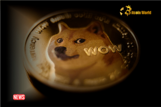 Dogecoin Surged 77%, Fueled by Bullish Market and Whale Accumulation