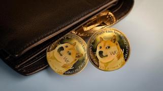 2013 Dogecoin wallet back in action, is it going to sell?