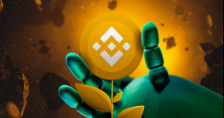 DeeStream (DST) gewinnt mit Binance Coin (BNB) und Dogecoin (DOGE): Ethereum (ETH) 3.775 $, Shiba Inu (SHIB) steigt um 127 %