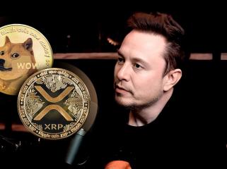 埃隆·马斯克（Elon Musk）通过有趣的推文引发了 XRP 和狗狗币社区的反应