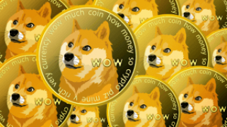 Is Raffle Coin (RAFF) the Next Big Thing? Dogecoin (DOGE) & Avalanche (AVAX) Communities Explore 50X Potential