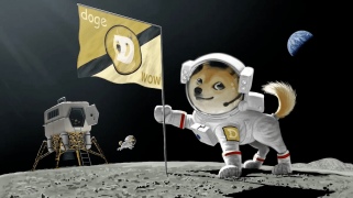 Presale Frenzy: Raffle Coin (RAFF) Lures Dogecoin (DOGE) & Polkadot (DOT) Fans into Early Investments