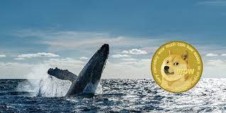 Деятельность китов Dogecoin