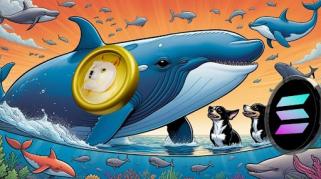 病毒式 Solana Meme 幣吸引了 SOL 之外的關注，狗狗幣 (DOGE) 鯨魚也加入進來