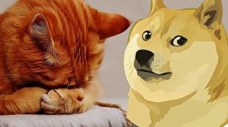 Dogecoin’s Remarkable Price Climb Attracts Investor Attention