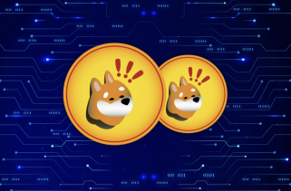 Altcoin Sherpa espera un gran aumento en DOGE: los comerciantes encabezan los tokens Meme BONK y KANG en el primer trimestre