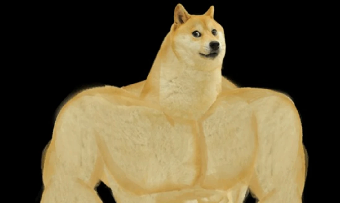 Gym Doge (GYMDOGE) se prepara para un mitin masivo para desafiar a Shiba Inu y Dogecoin