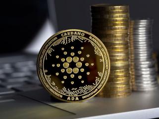 Cardano (ADA) Wallet-Aktivität geht zurück, ist das besorgniserregend?