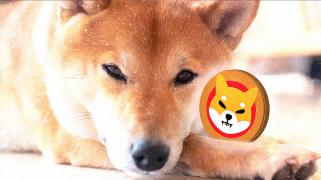 柴犬トークンの価格変動