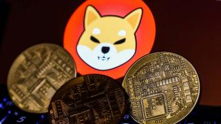 柴犬の価格予測：仮想通貨市場のボラティリティの中でアナリストの目は0.00017ドル