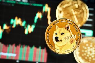 DOGE-Preis: Wale mischen 767 Millionen Münzen über Robinhood, was kommt als nächstes?