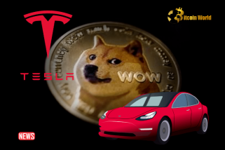 Tesla d'Elon Musk ajoute les paiements Dogecoin à son site Web, X est-il le prochain ?