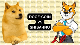 Doge and Shiba Inu Anticipate Big Gains of Over 100%