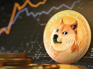 Dogecoin (DOGE) Skyrockets 71% in Volume - What's Happening?