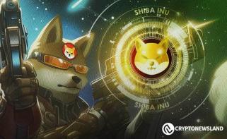 Führender Krypto-Analyst prognostiziert, dass Shiba Inu um 20 % auf 0,00002954 US-Dollar steigen könnte