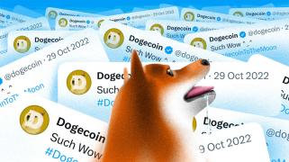 Comment Dogecoin (DOGE) pourrait bénéficier du retour de Roaring Hello Kitty