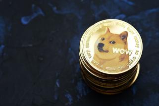 GameStop and KangaMoon Prices Rallies, Dogecoin Holders Second Guessing Their Holdings