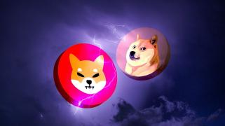 Los inversores de Dogecoin disfrutan de ganancias