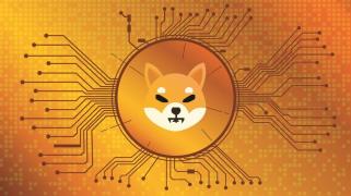 Shiba Inu Coin: Whale Dumps 199B SHIB To Coinbase, What’s Next?