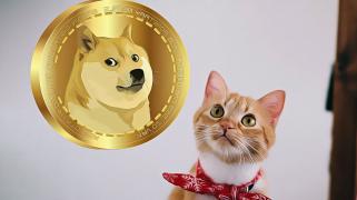 Crypto Kaleo прогнозирует всплеск Dogecoin