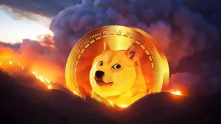 Whale vende toneladas de Dogecoin en Robinhood