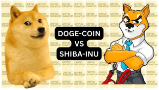 최고의 거래자들은 Shiba Inu의 잠재적 탈주를 위해 비트코인을 버립니다.