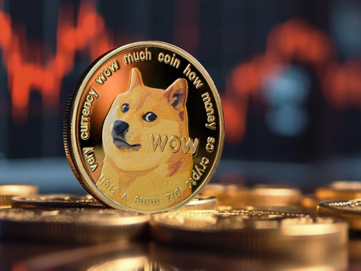 Dogecoin (DOGE), 고래 드라마 직면, 주요 지표 하락 86%