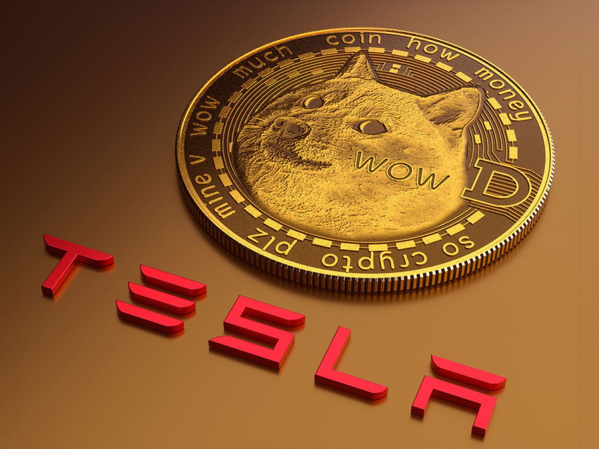 내부자, 중요한 DOGE-Tesla 경고 발행: 세부 정보