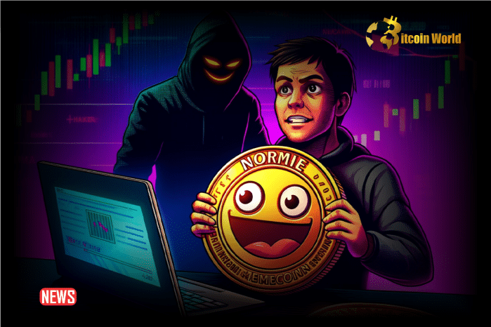 Los comerciantes perdieron más de $1 millón debido a la vulnerabilidad de Normie Meme Coin