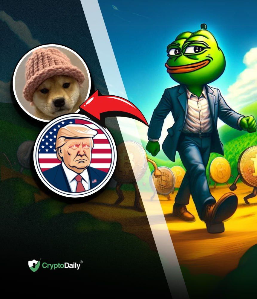 Pepe (PEPE), Dog Wif Hat (WIF) und MAGA (TRUMP) führen den Anstieg der Meme-Coins an