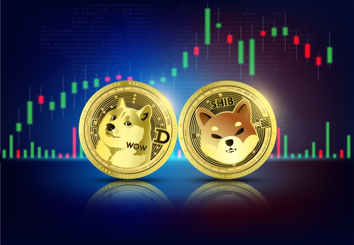 Dogecoin versus Shiba Inu: cómo se comparan las Memecoins con las principales monedas entre los usuarios cotidianos