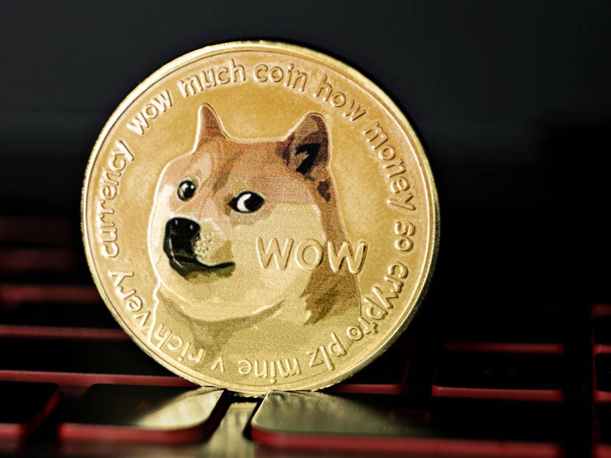 ¿Están desapareciendo las ballenas Dogecoin? QUE PASÓ CON DOGE