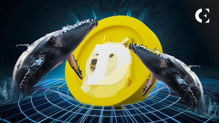 Reacción del mercado a la acumulación de ballenas Dogecoin: se agregaron 200 millones de DOGE