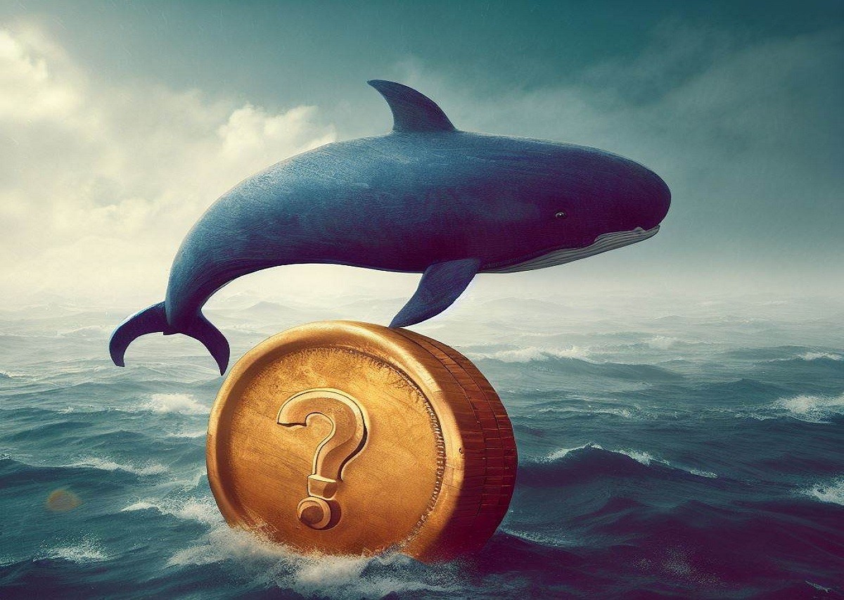 Memecoin Whale 的耐心結束了：幾個月後，他賣掉了所有東西並獲得了 976% 的利潤