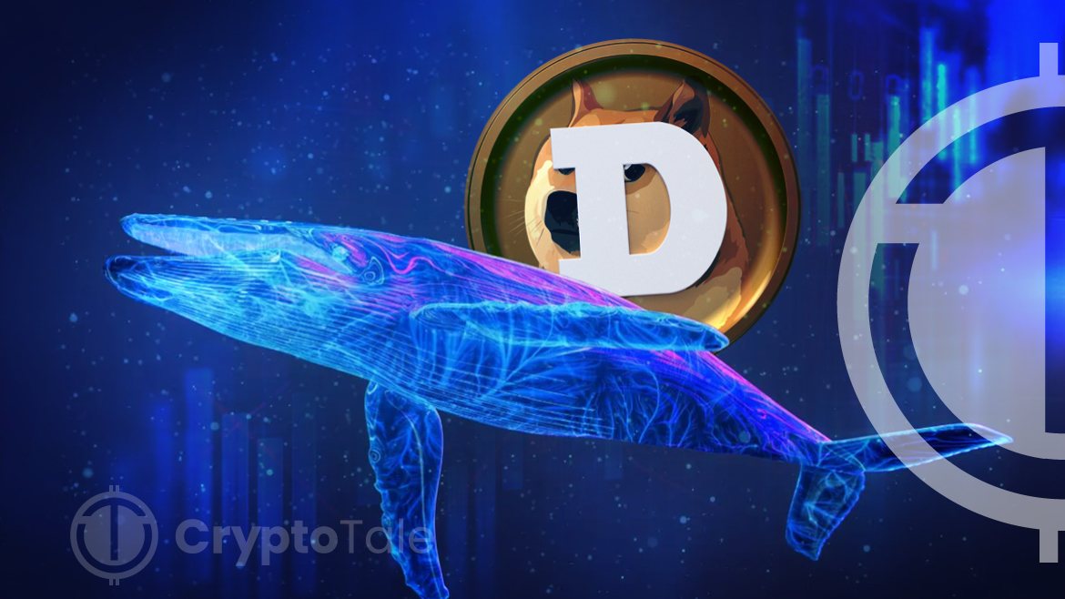 Las ballenas acumulan 200 millones de Dogecoin durante la caída de precios, los analistas predicen un futuro alcista