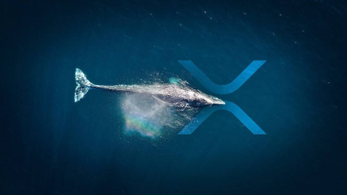 XRP whales move 119 mln tokens from CEXs, Is this bullish signal?