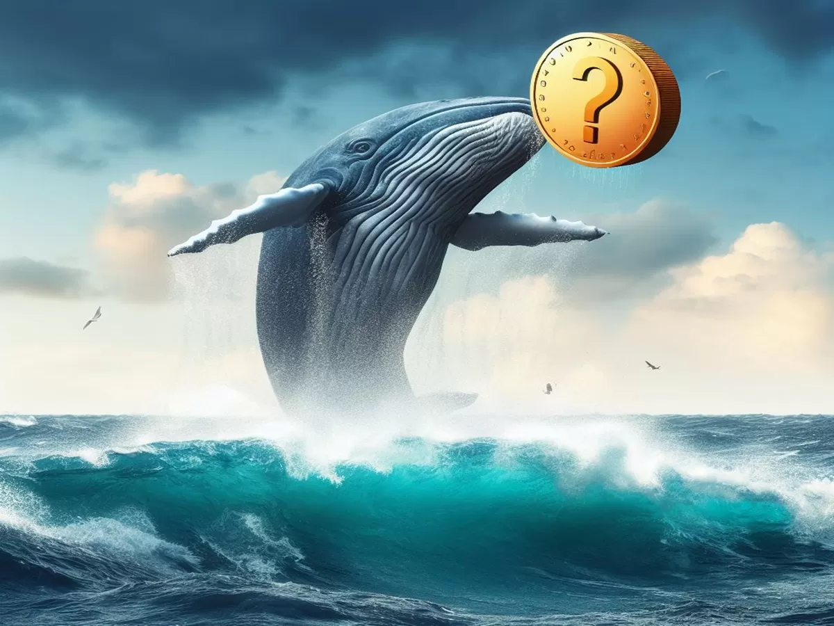 La chute du Bitcoin alimente les baleines d’altcoin : acheteurs, vendeurs, perdants et l’altcoin de leur choix !